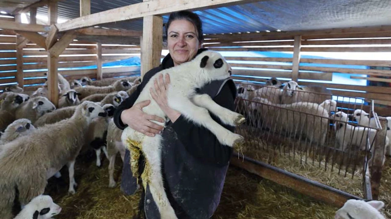 ÇORUM’DA TEKSTİLDEN KÖY HAYATINA !